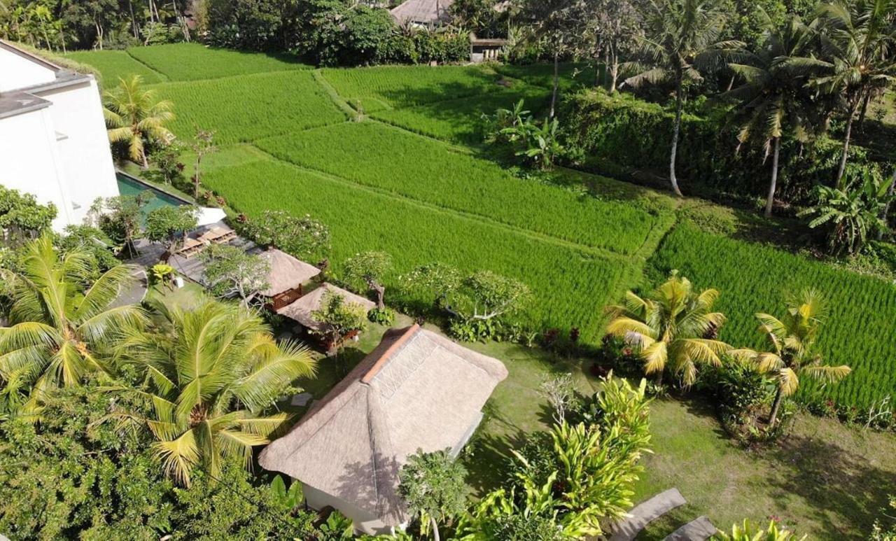 Byasa Ubud Экстерьер фото