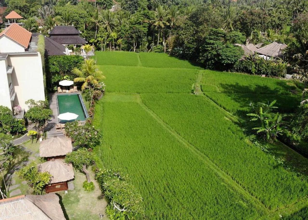 Byasa Ubud Экстерьер фото