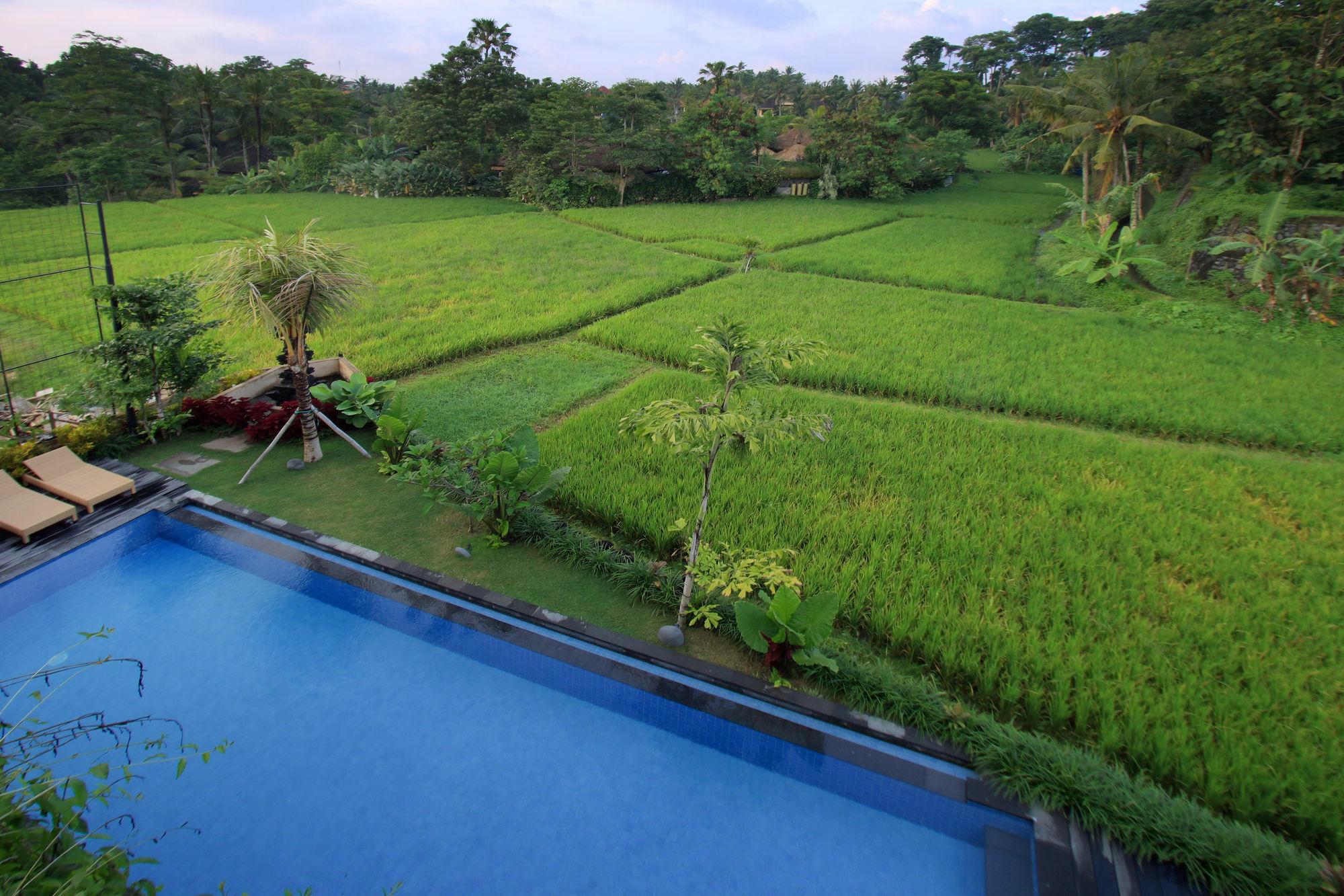 Byasa Ubud Экстерьер фото