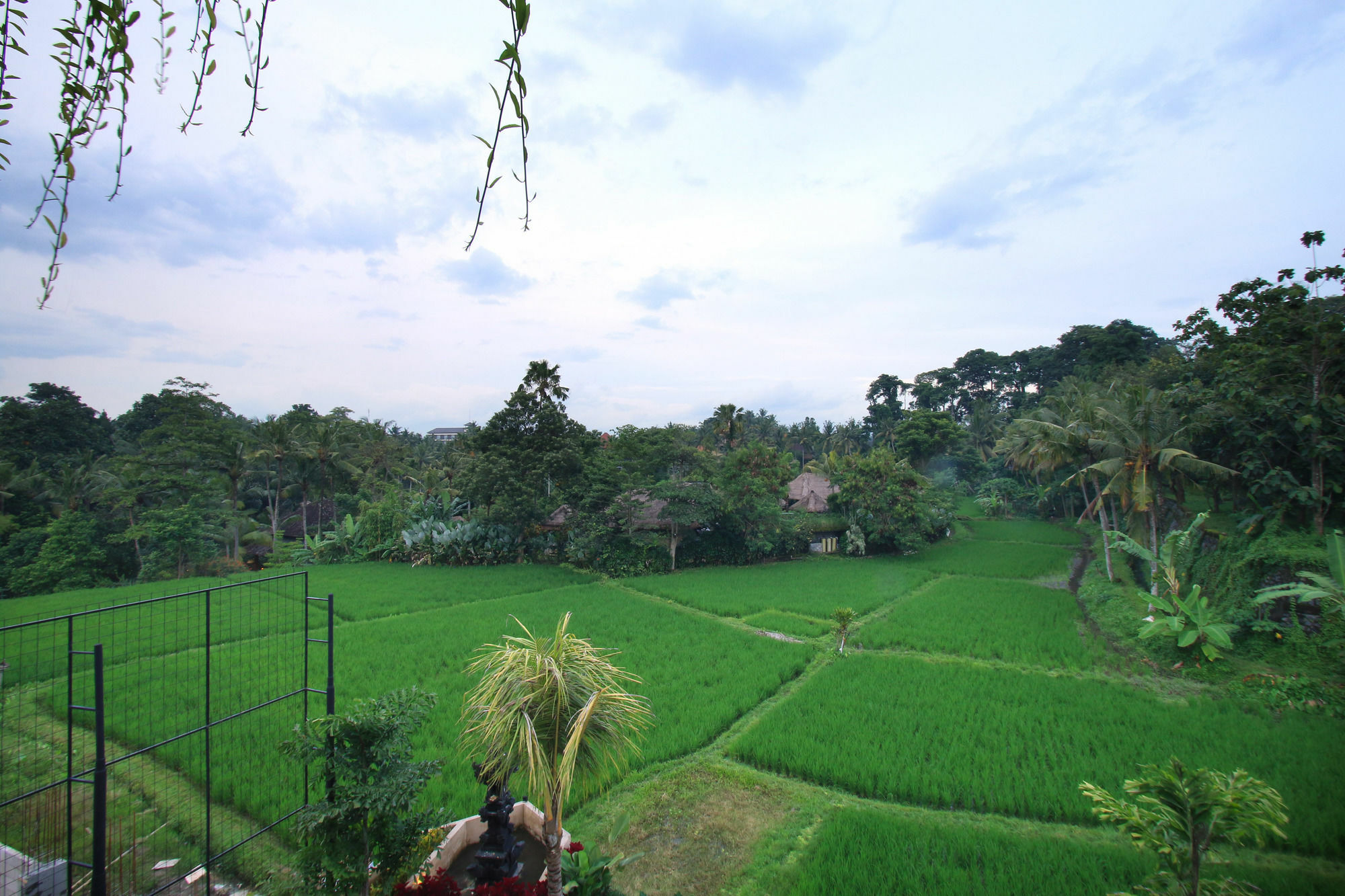 Byasa Ubud Экстерьер фото